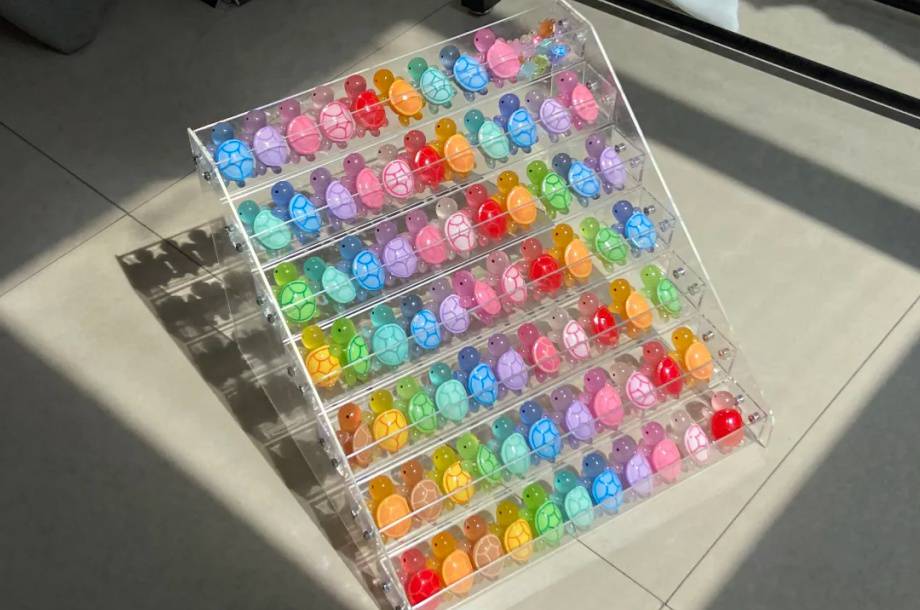 乌龟对对碰,正在直播间硬控年轻人