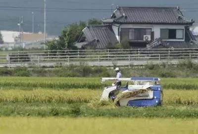 日本大米荒背后